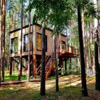 Tree Houses Olszanka，位于Puszcza Mariańska的酒店