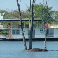 Houseboat with aircon and splash pool - 2128，位于Kariba的酒店