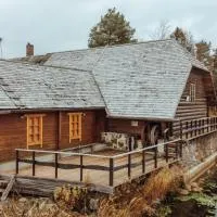 Loopre Vesiveski puhketalu,位于Loopre的酒店