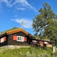 Elveseter - log cabin with an amazing view，位于Venabygd的酒店