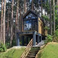 Magia Lasu Borków - Korony Drzew，位于凯尔采的酒店