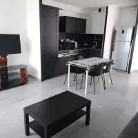 appartement 2 T2 neuf et élégant proche zénith，位于佩里纳特·莱斯·萨尔列夫的酒店