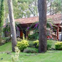 Casa Acuario - großes Haus mit besonderem Flair，位于埃斯特角城Punta Ballena的酒店