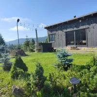 Panoramic Cabin Stânceni，位于Ciobotani的酒店