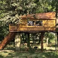 Tree Vill，位于Golędzinów的酒店