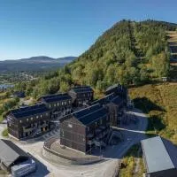 Funäs Ski Lodge，位于菲奈斯达伦的酒店