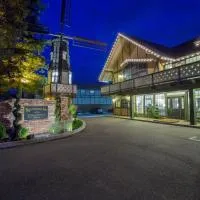 皇冠城堡酒店，位于索尔万的酒店