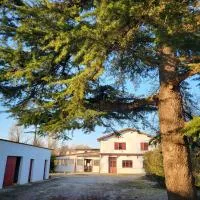 Auberge du Trinquet,位于Corbarieu的酒店
