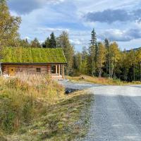 Awesome Home In Kittelfjll With 3 Bedrooms，位于Kittelfjäll的酒店