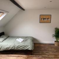 Cozy attic apartment，位于安特卫普Zurenborg的酒店