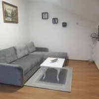 APARTMAN SOFIA，位于茹帕尼亚的酒店