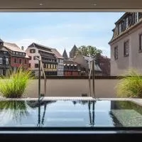 Hotel & Spa REGENT PETITE FRANCE By Stay Collection，位于斯特拉斯堡的酒店