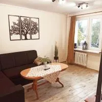 APARTAMENT CENTRUM Międzychód，位于Międzychód的酒店