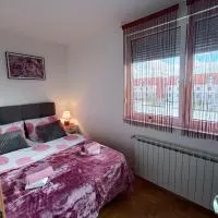 Apartman Ante,位于戈斯皮奇的酒店