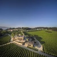 Monverde - Wine Experience Hotel - by Unlock Hotels，位于阿马兰特的酒店