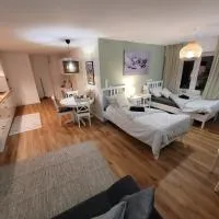 Ferienwohnung Nachtigall 2，位于巴特赫尔斯费尔德的酒店