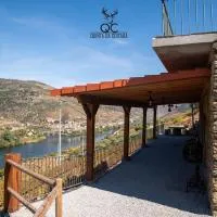 Quinta da Coitada - Alojamento Local，位于Soutelo do Douro的酒店