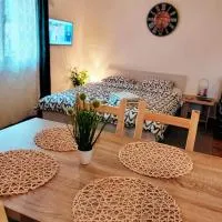 Studio apartman Buteo，位于亚斯特雷巴斯科的酒店