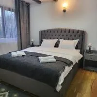Adac Boutique Hotel,位于布加勒斯特的酒店