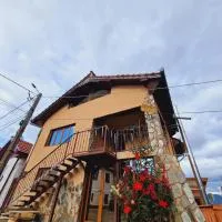 Pensiunea Sălaș，位于Sălaşu de Sus的酒店