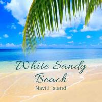 White Sandy Beach-Best Manta Snorkeling，位于Naviti Island的酒店