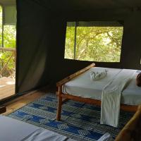 Camp Seluu - Safari Pkg，位于Kwangwazi的酒店