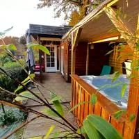 Chalet avec jacuzzi privatif，位于Fichous-Riumayou的酒店