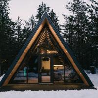 Pinery Blidinje A-Frame House，位于Blidinje的酒店