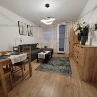 Ludowa apartament，位于比斯库佩茨的酒店