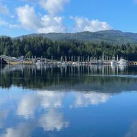 The Old Schoolhouse Lodge and Cabins，位于Coffman CoveThorne Bay Seaplane Base - KTB附近的酒店