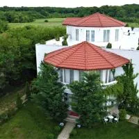 YOUness WELLness Clinic & Retreats，位于Mereni的酒店