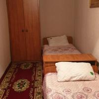2- ух комнатная квартира，位于Turksib阿拉木图国际机场 - ALA附近的酒店