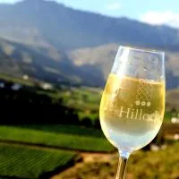 Mymering Wine & Guest Estate，位于莱迪史密斯的酒店