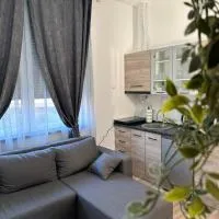 Apartmani M.&.B Luks，位于Mataruška Banja的酒店