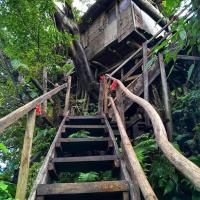 Castle Tree House And Bungalow，位于White Sands坦纳机场 - TAH附近的酒店