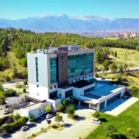 Park Dedeman Denizli，位于代尼兹利的酒店