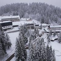 Hotel Rajska dolina Jahorina，位于亚霍里纳的酒店