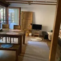 Einzimmerapartment mit Fass Sauna (und Pool)，位于Fränkisch-Crumbach的酒店