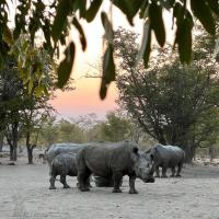 Sukulu Reserve，位于利文斯顿的酒店