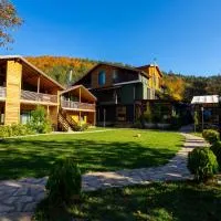 Abant Villa Otel,位于博卢的酒店