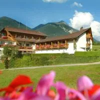 Haus Karnia Appartements & Zimmer，位于黑马戈尔的酒店