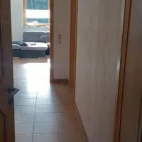 Ferienwohnung Geier，位于Schöfweg的酒店