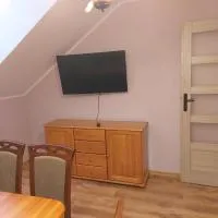 DAR-KAJ MIESZKANIE nr 3，位于Radzyń Chełmiński的酒店