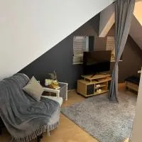 Ferienwohnung Wibi，位于比登科普夫的酒店