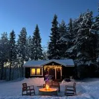 Gemuetliches Blockhaus im Wald，位于Auktsjaur的酒店