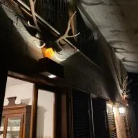 I Due Cervi,位于珀蒂科迪罗马涅的酒店