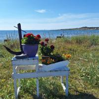 Feriehus ved Barentshavet - Holiday home by the Barents Sea，位于Ytre Kiberg瓦杜鲁弗霍恩机场 - VAW附近的酒店