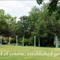 The Salvage Garden，位于杰米斯顿Rand Airport - QRA附近的酒店