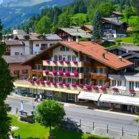 Hotel Grindelwalderhof，位于格林德尔瓦尔德的酒店