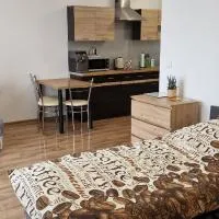Apartament Słoneczny，位于奥得河畔科斯琴的酒店